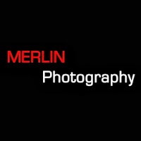 MERLIN Photography 1073673 Image 2